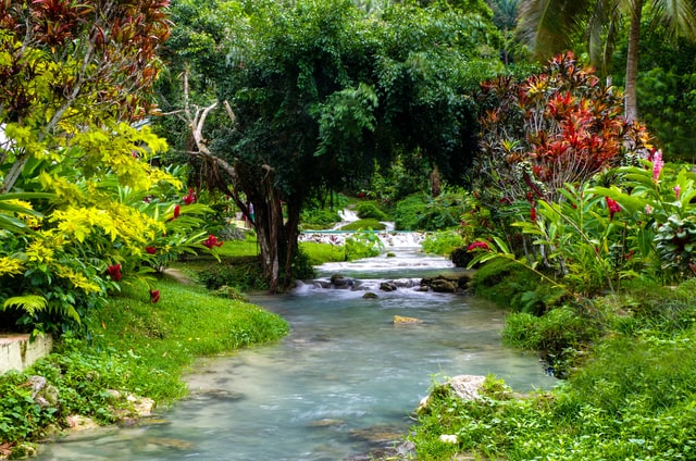 Mountain stream on Kauai